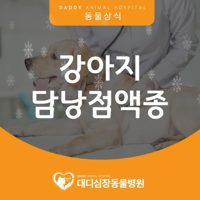 개 담낭절제술, 개 담낭절제술 (울산 이승진 동물병원) 3