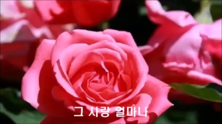 7080 은혜의 찬양 CCM 복음성가 무료연속듣기