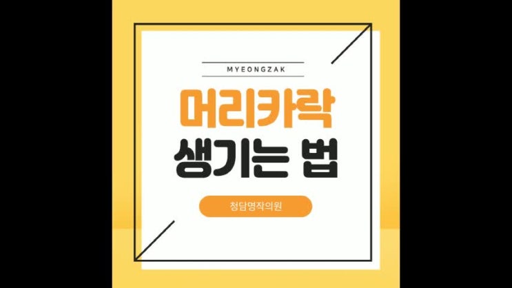 머리카락 생기는 법 머리카락 생기는 법