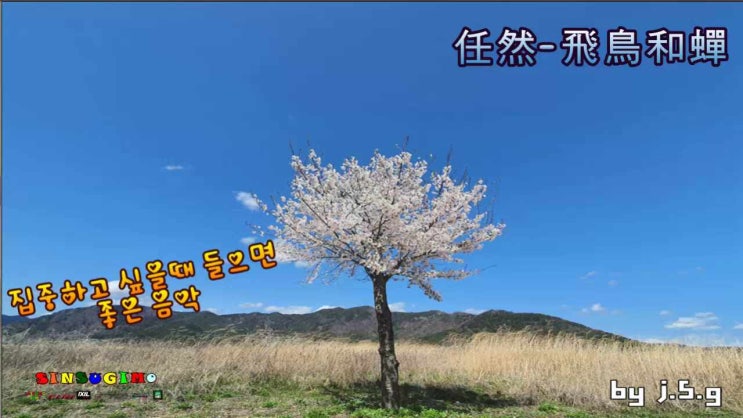웹 작업할때 들으면 집중력 올라가는 음악  -새와 매미- 任然1时间 시간