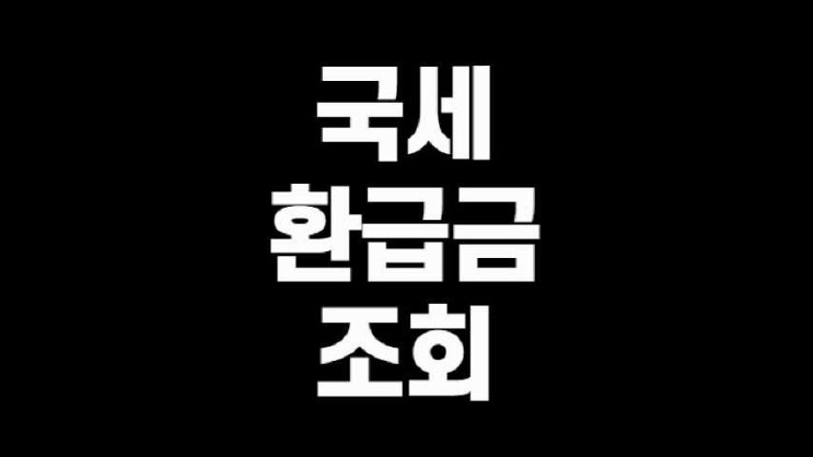  나의 국세 환급금 조회 손택스 초간단!