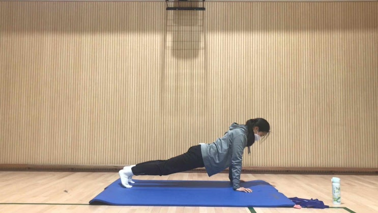  운동일지. 맨몸운동. 팔굽혀펴기 98~105일차. 세라밴드운동. 루프밴드운동 by 해피모니카