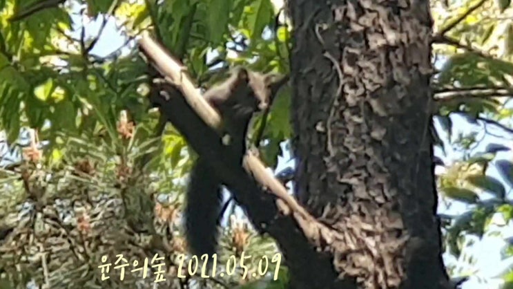  네 이름이 뭐니? #청서