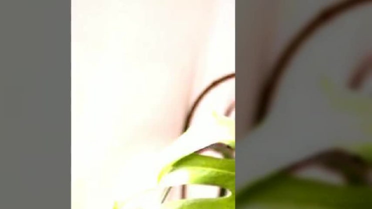  바이비트 선물거래 레퍼럴 바이빗 비트코인 마진거래