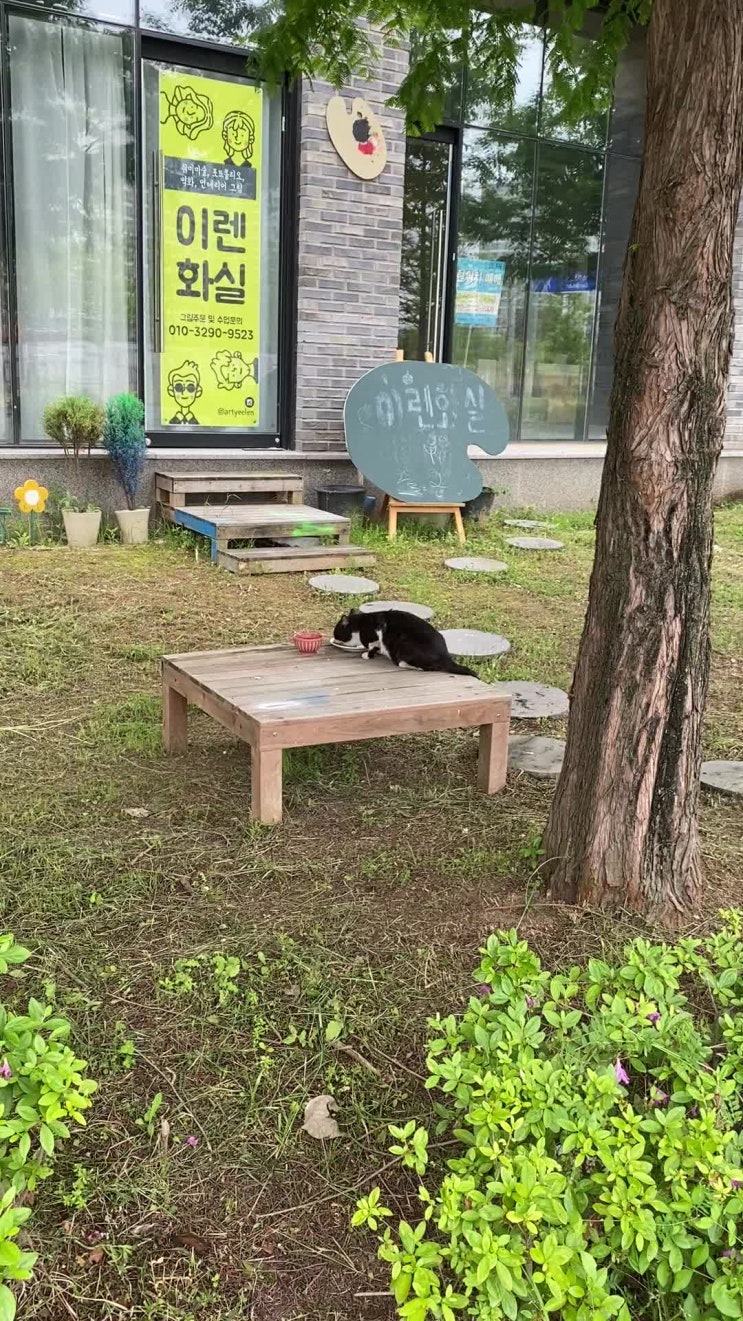  신발샀지롱
