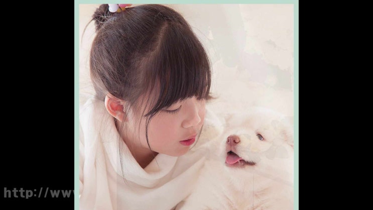  과천 강아지 장례 화장터 애견 장례식장 반려동물 고양이 반려견 화장, 우려되는 사항을 알아봅니다!