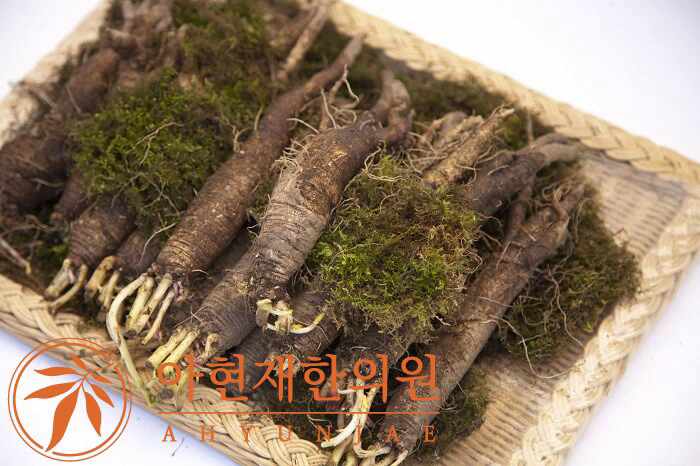 사삼 효능, 주의사항, 먹는법까지 총정리 : 네이버 블로그