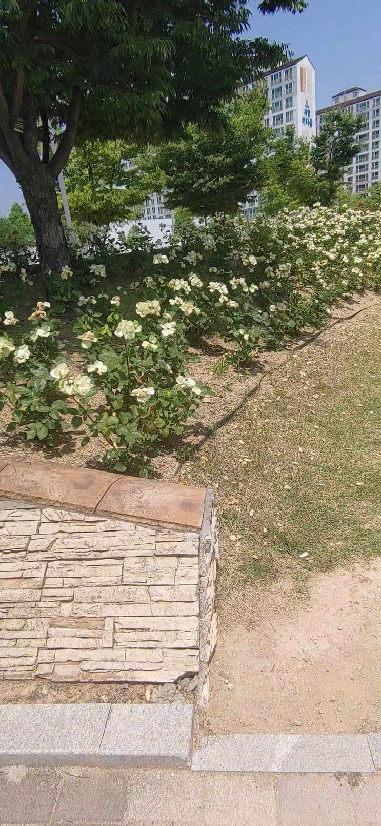  브이로그