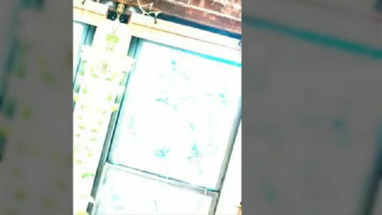  일산개인회생 아무것도