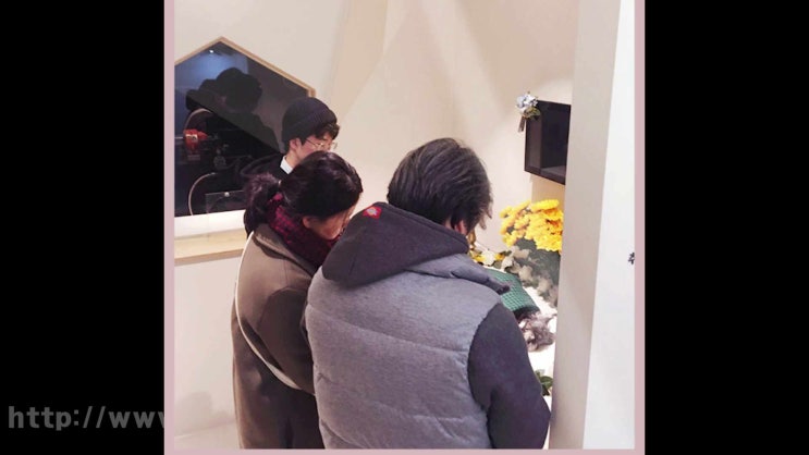  강아지가 죽었을 때 죽으면,  주로 살펴봐야 할 것들!
