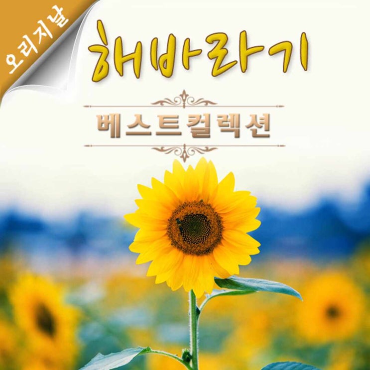  [음악] 연가 - 나의 평화가 불러주는 노래