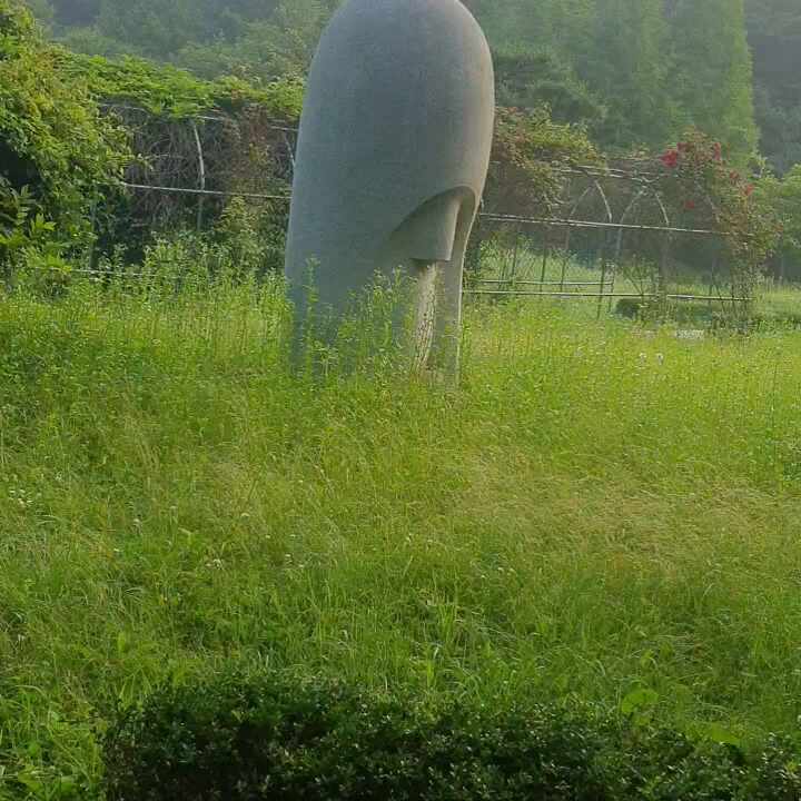  신정호 야외음악당 산책로