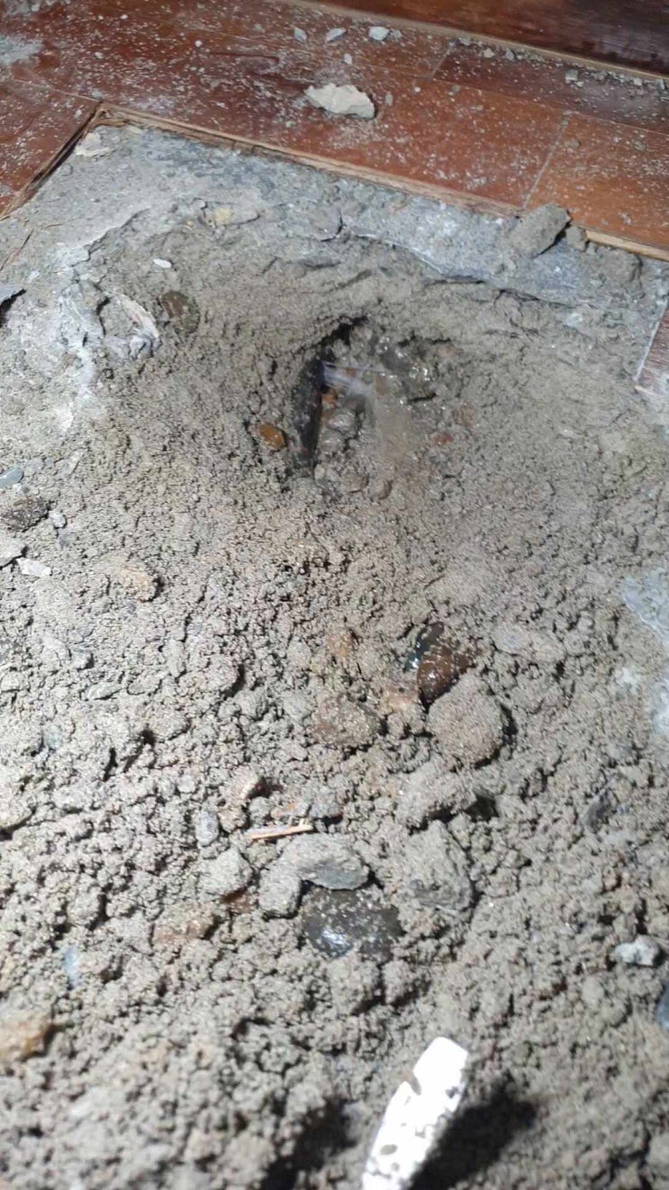  청주 미평동 전원주택 누수탐지 오래된 배관이 복잡해서 모두가 꺼려했던 현장.