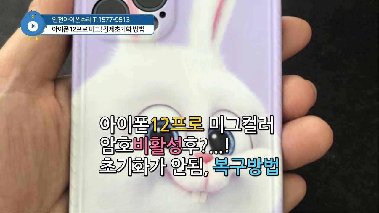 아이폰12프로미그 강제초기화해보기"아이튠즈인식이 안되나요?"인천아이폰수리
