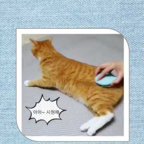  7/16일 오늘의 공부