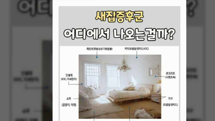 새집냄새제거 환기로 가능해?!