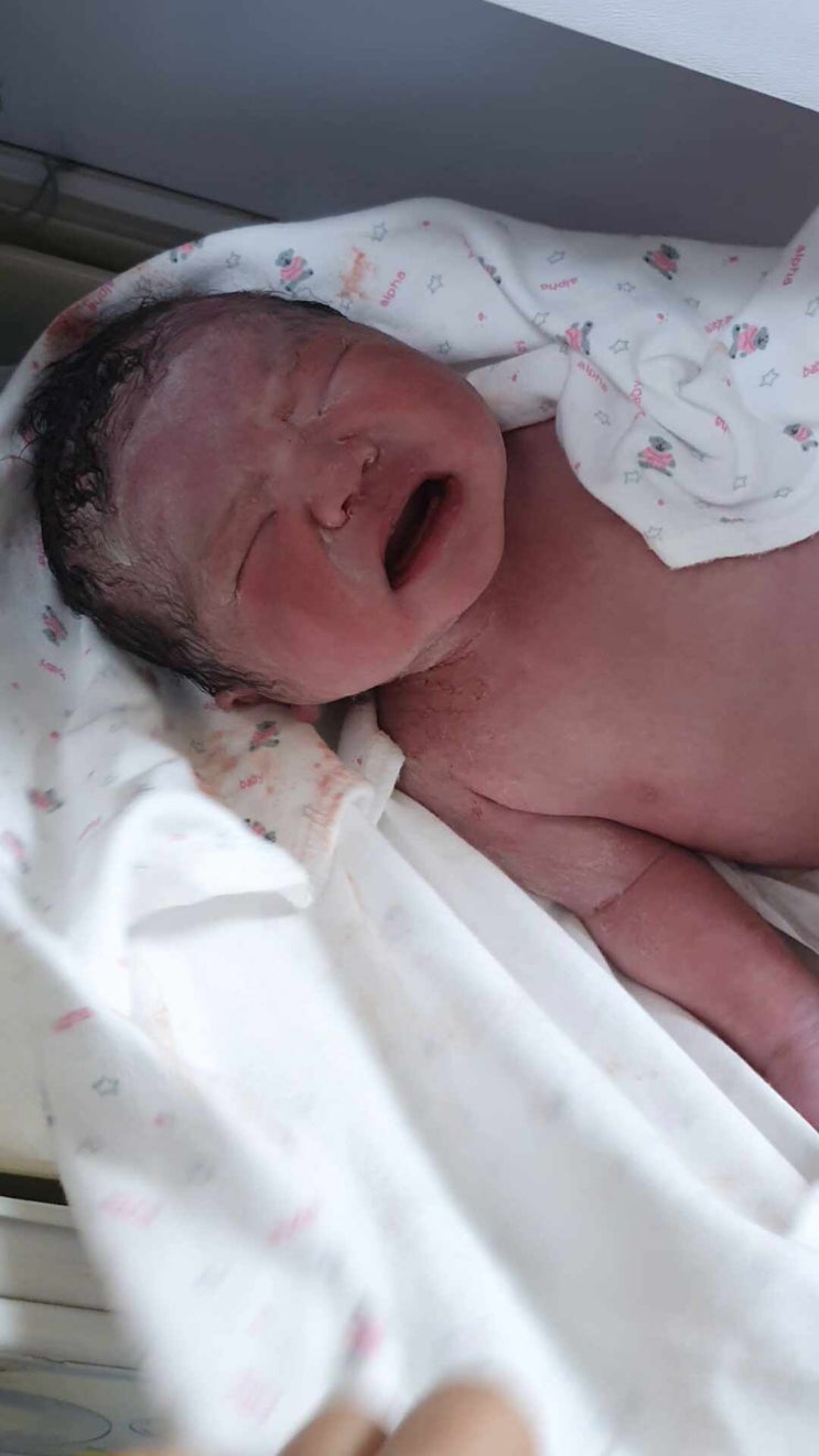  오늘 태어난 둘째 축동이!