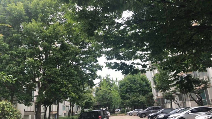  청주 운천 주공 방문기 - 청주 재건축 투자