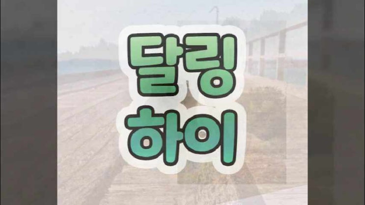  만족스러웠던 순천강아지분양