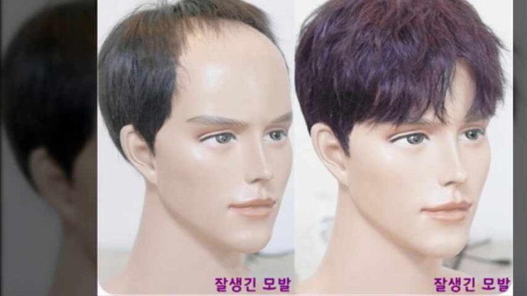  가발제작 당일에 가능한 업체가