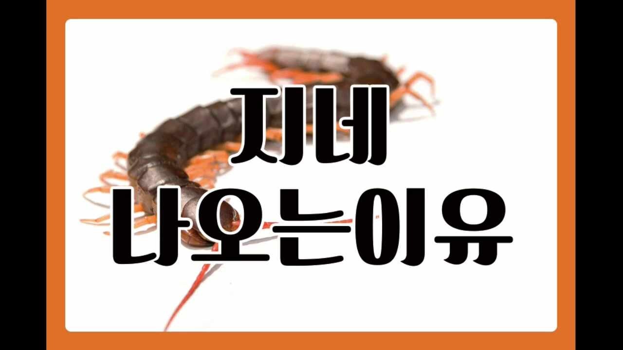 지네나오는이유 집안에서 갑자기 지네가 나온다면