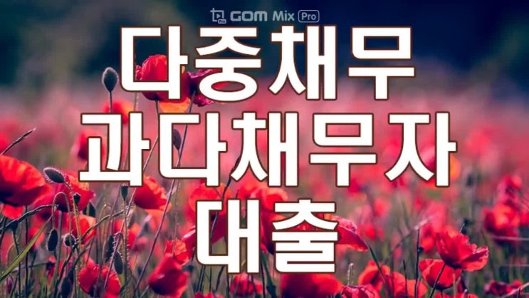  다중채무 과다채무자 대출 알아보기