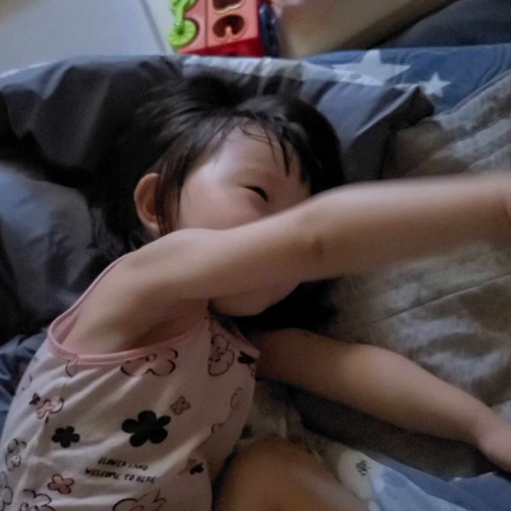  817일 육아일기 웅이아부지 뽐비