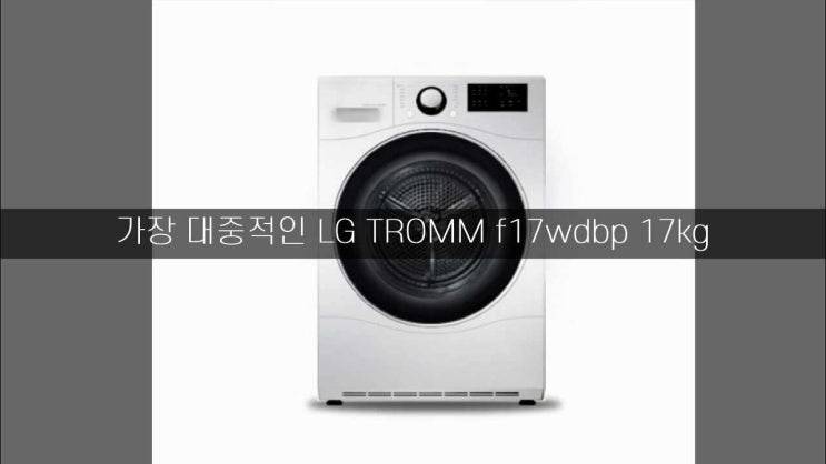 가장 대중적인 LG TROMM f17wdbp 17kg