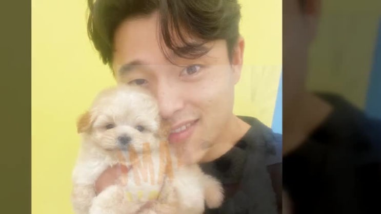  마산강아지분양 전문적인 곳을 바란다면