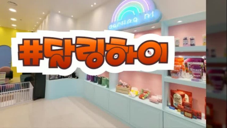 진주미니비숑분양 체크 포인트는