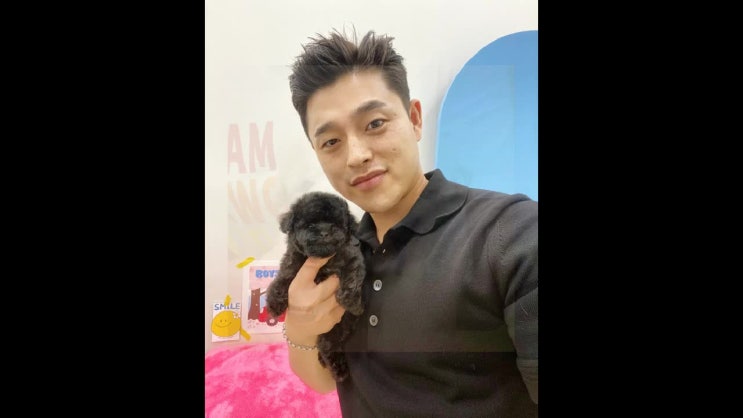  대구강아지분양 한번쯤은 들어봤던 곳