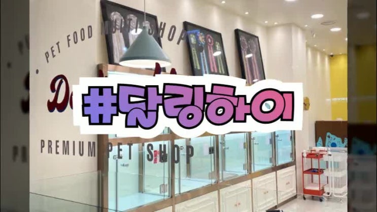  실력있는 대구애견샵 공유드려요