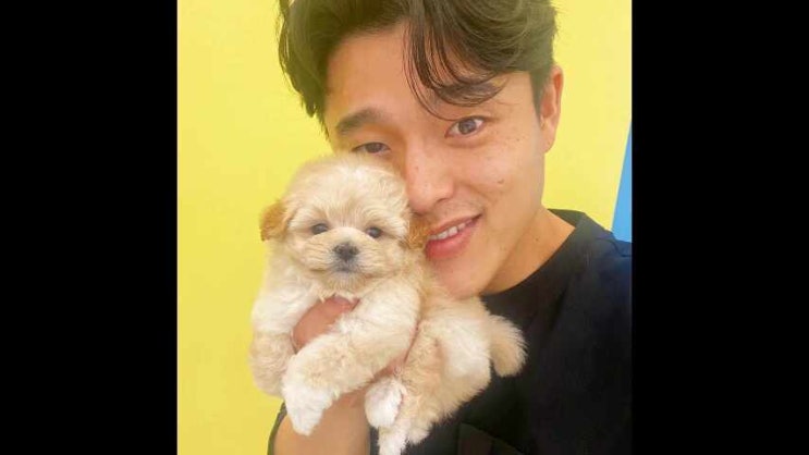  추천했던 창원강아지입양 이유를 알아보죠