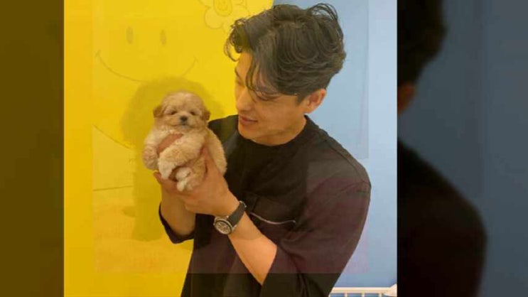  우월한 양산반려동물 함께해요