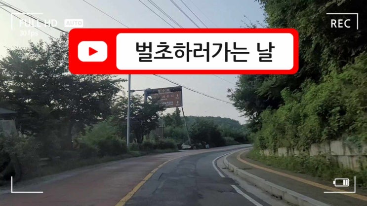  벌초