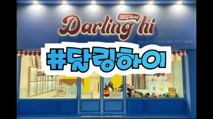  믿음갔던 대구가정견분양 알아보세요