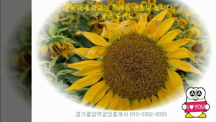  부여읍 신정리 토지 주택 9,000만원 매매 [발행번호 49]