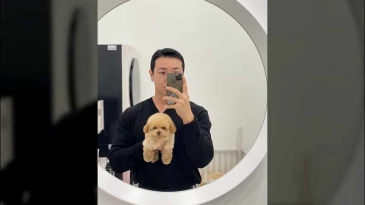  광진구강아지분양 반가운 푸들 맞이하기