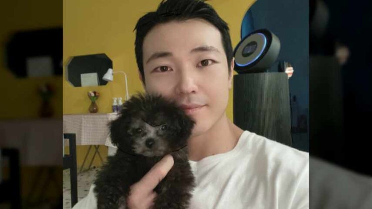  품격있는 평택강아지분양 혈통견 찾기