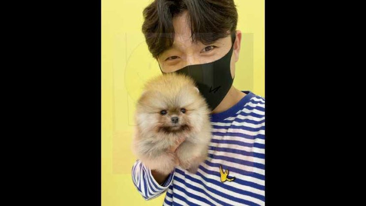  울산강아지분양 새로운 가족 맞이하기