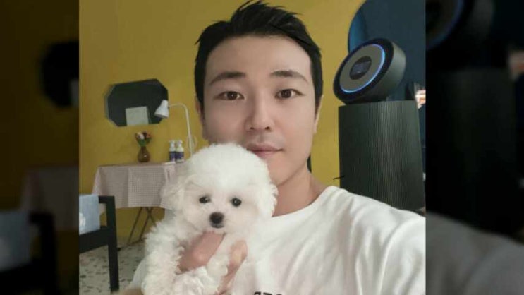 김포강아지분양 새로운 푸들 맞이하기