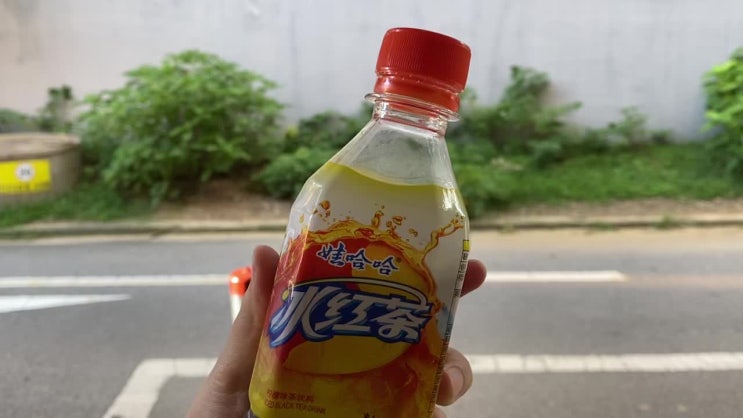  재택 근무하다 쉬는 시간에 빙홍차 마시고 행복해서 쓰는 글