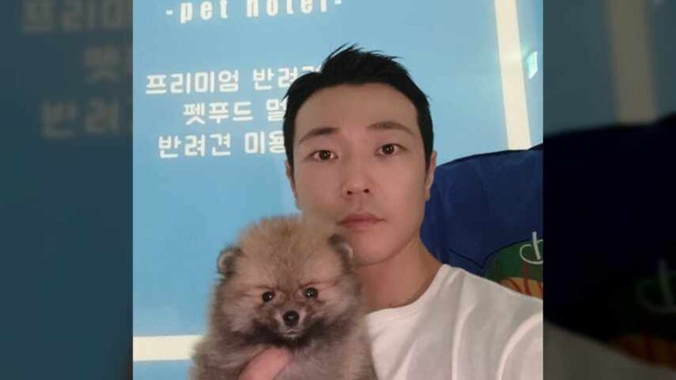  강남강아지분양 미소짓게 하는 반려견 