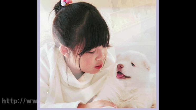  오산 강아지 장례 고양이 화장 애견 화장터 반려동물 반려견 장례식장, 무엇부터 챙겨야 할까요?