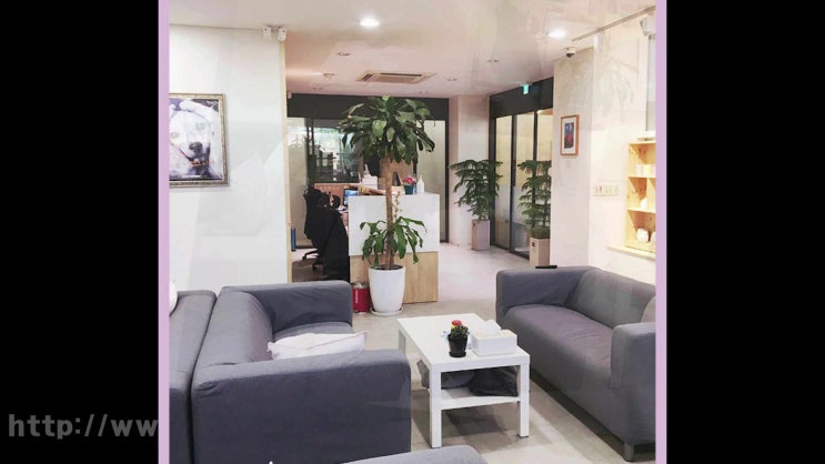  일산 김포 파주 강아지 화장터 고양이 장례, 어떤 것이 중요한 기준일까?