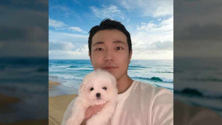  잠실강아지분양 반가운 푸들 입양하기