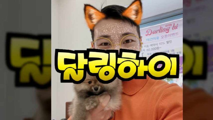  남양주강아지분양 귀여운 미니비숑 분양가는