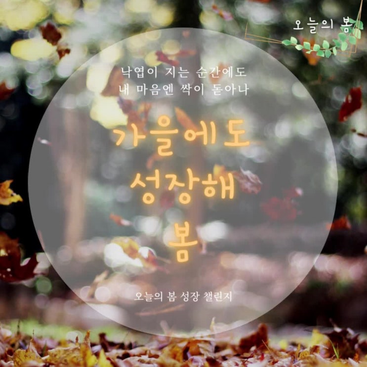  임상심리사2급 실기준비 [기출문제 - 방어기제]