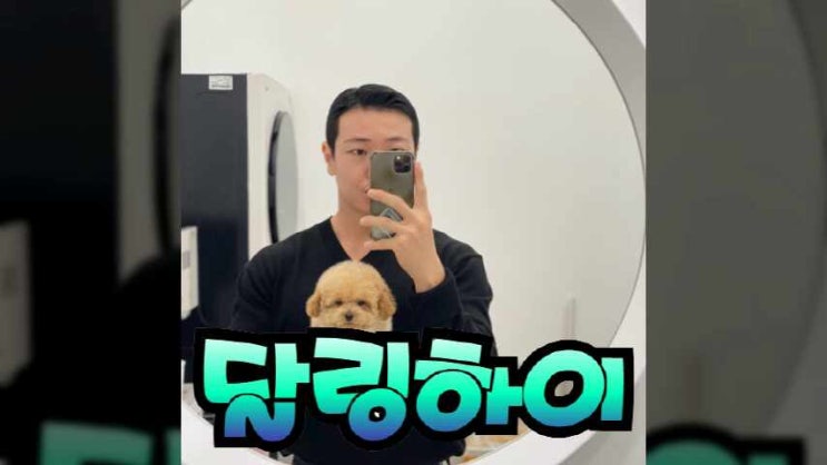  구리강아지분양 반가운 미니비숑