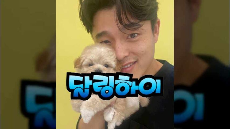  마산강아지분양 쾌적한 환경에서 자란